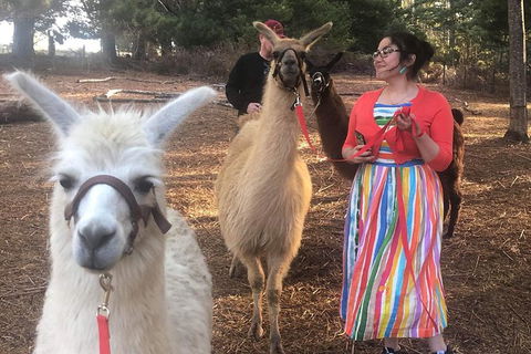 Unguided Family Llama Walk - Accommodation NT 1
