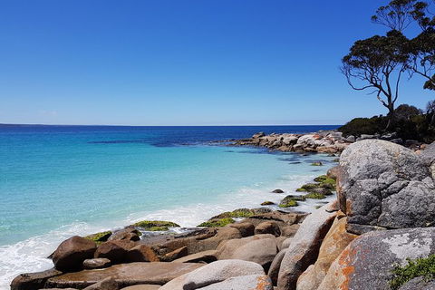 Tasmania 4 Day East Coast + Launceston - Accommodation NT 0
