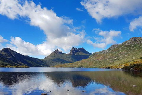 Tasmania 13 Day Premium Tour - Accommodation NT 0