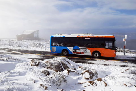 Kunanyi/Mt Wellington Tour & Hobart Hop-On Hop-Off Bus - Accommodation NT 4