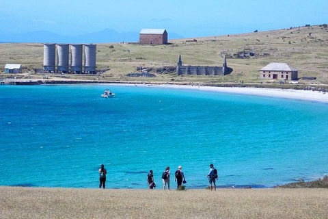Private Maria Island Hiking Tour With Gourmet Lunch - Accommodation NT 1
