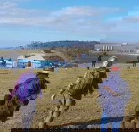 4-Day Hobart Adventure Tour Maria Island Cape Raoul Mount Field Cape Hauy - Accommodation NT
