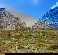 3-Day Hobart Adventure Tour Mount Field Cape Hauy and Hartz Peak - Accommodation NT