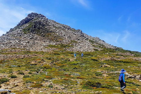 3-Day: Hobart Adventure Tour: Mount Field, Cape Hauy And Hartz Peak - Accommodation NT 0