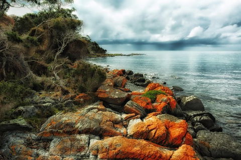 Hobart\'s Best: City, Nature, Wildlife, And Fine Cuisine - Accommodation NT 6