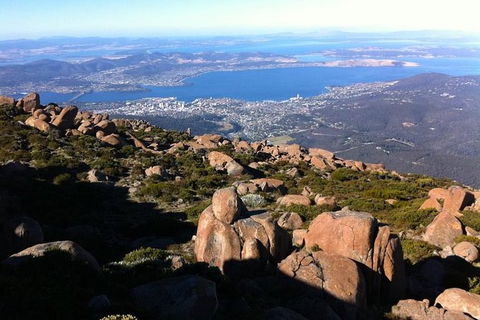 Mt Wellington ULTIMATE Tour, Most Comprehensive/ Best Value - Accommodation NT 1