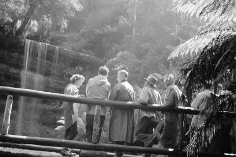 Guided Shore Excursion: Mt Field National Park Salmon Ponds Bonorong Wildlife - Accommodation NT 1