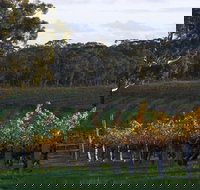 Barossa Valley with Hahndorf Tour from Adelaide - Accommodation NT
