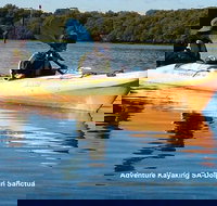 Adelaide Dolphin Sanctuary and Ships Graveyard Kayak Tour - Accommodation NT