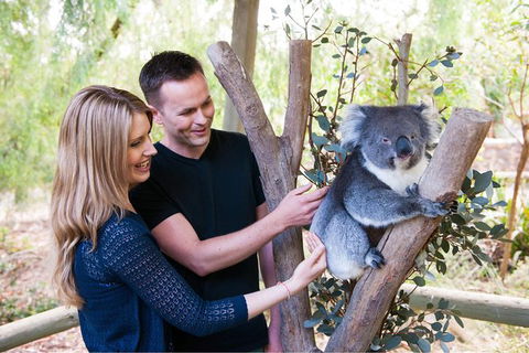 Adelaide Central Market With Cleland Wildlife Park And Mount Lofty Summit - Accommodation NT 1