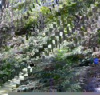 Self-Guided Waterfall Gully to Mount Lofty Hike from Adelaide - Accommodation NT