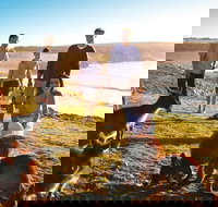 5-Day Adelaide and Kangaroo Island Tour Including Barossa Valley Wine Tasting - Accommodation NT