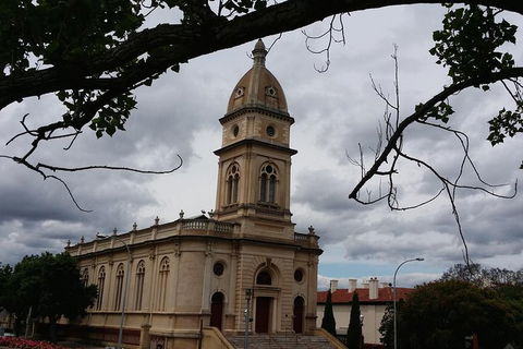 Adelaide Walking Tour: Grand Mansions And Sub-Divisions - Accommodation NT 0