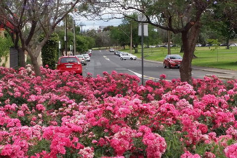 Adelaide Walking Tour: Hills, Squares And Parklands - NT Tourism 6