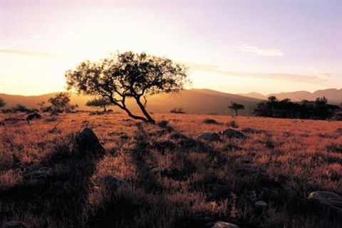 Adelaide To Coober Pedy 7 DAY SMALL GROUP 4WD SAFARI - Accommodation NT 0