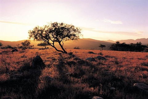 Adelaide To Coober Pedy 7 DAY SMALL GROUP 4WD SAFARI - Accommodation NT 4