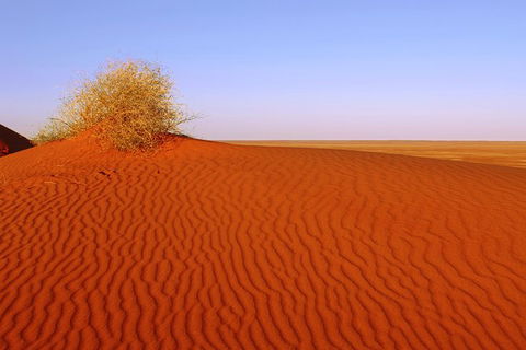 Adelaide To Coober Pedy 7 DAY SMALL GROUP 4WD SAFARI - Accommodation NT 3