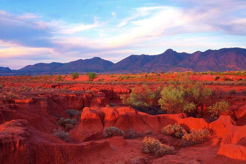 Adelaide To Coober Pedy 7 DAY SMALL GROUP 4WD SAFARI - Accommodation NT 7