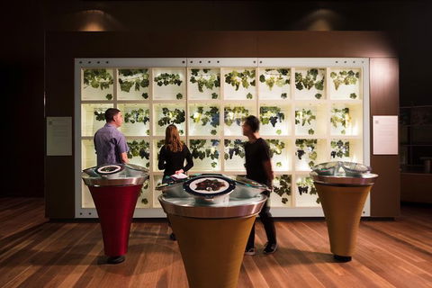 Australian Wine Discovery Tour With Tastings - Accommodation NT 5