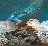 Great Barrier Reef Sailing and Snorkeling Cruise from Port Douglas - Accommodation NT