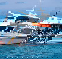 Poseidon Outer Great Barrier Reef Snorkeling and Diving Cruise from Port Douglas - Accommodation NT
