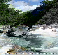 Daintree Rainforest Cape Tribulation Mossman Gorge in a day - Accommodation NT