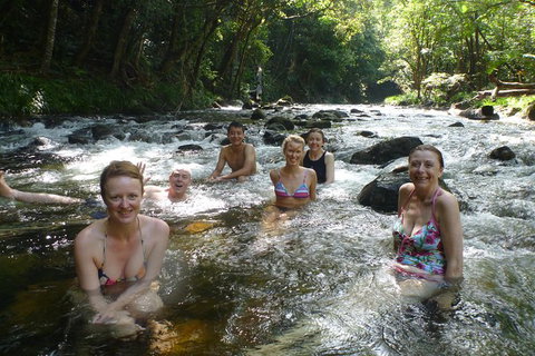 Daintree Rainforest, Cape Tribulation, Mossman Gorge In A Day - Accommodation NT 10