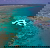 Silversonic Outer Great Barrier Reef Dive and Snorkel Cruise from Port Douglas - Accommodation NT