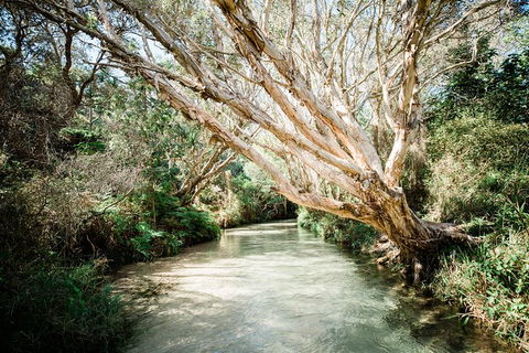 All-Inclusive 2-Day Fraser Island Tour - NT Tourism 11