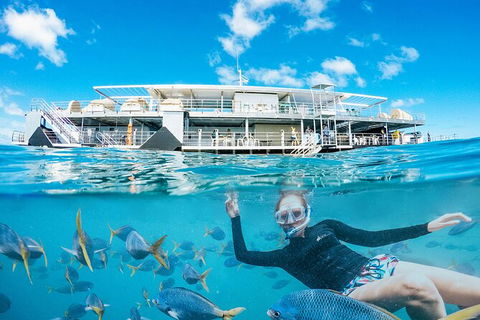 2-Day Great Barrier Reef Reefsleep Experience - Accommodation NT 8