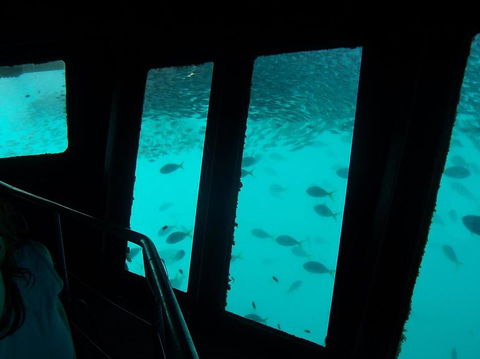 Great Barrier Reef Day Cruise To Reefworld - Accommodation NT 12