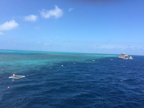 Great Barrier Reef Day Cruise To Reefworld - Accommodation NT 8