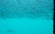 Great Barrier Reef Day Cruise To Reefworld - thumb 10