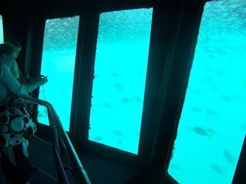 Great Barrier Reef Day Cruise To Reefworld - Accommodation NT 11