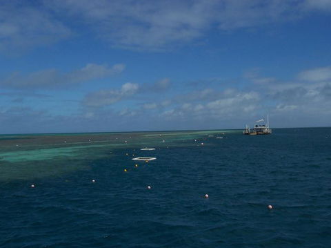 Great Barrier Reef Day Cruise To Reefworld - Accommodation NT 15