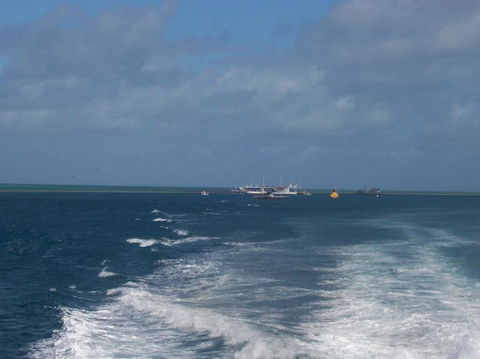 Great Barrier Reef Day Cruise To Reefworld - Accommodation NT 22