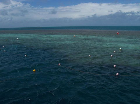 Great Barrier Reef Day Cruise To Reefworld - Accommodation NT 16