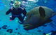 Great Barrier Reef Day Cruise To Reefworld - thumb 5