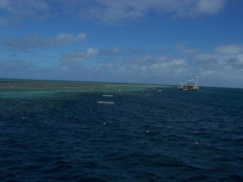 Great Barrier Reef Day Cruise To Reefworld - Accommodation NT 13