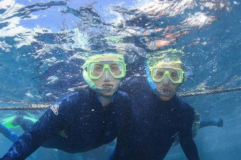 Great Barrier Reef Day Cruise To Reefworld - Accommodation NT 3