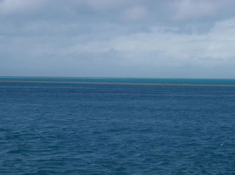 Great Barrier Reef Day Cruise To Reefworld - Accommodation NT 21