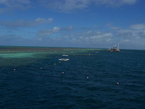 Great Barrier Reef Day Cruise To Reefworld - Accommodation NT 14