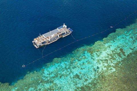 Great Barrier Reef Day Cruise To Reefworld - Accommodation NT 24