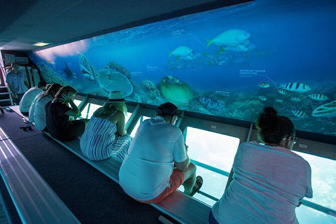 Great Barrier Reef Day Cruise To Reefworld - Accommodation NT 28