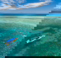 Ocean Safari Great Barrier Reef Experience in Cape Tribulation - Accommodation NT