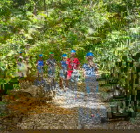 Whitsunday Segway Rainforest Discovery Tour - Accommodation NT