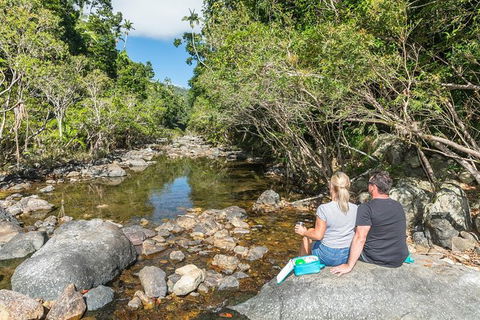Whitsunday Segway Rainforest Discovery Tour - Accommodation NT 4