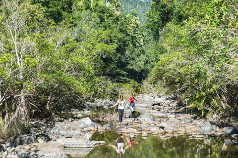 Whitsunday Segway Rainforest Discovery Tour - Accommodation NT 10
