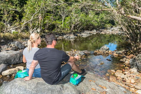 Whitsunday Segway Rainforest Discovery Tour - Accommodation NT 6