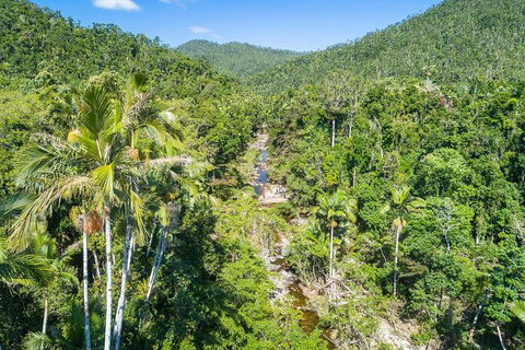 Whitsunday Segway Rainforest Discovery Tour - Accommodation NT 5